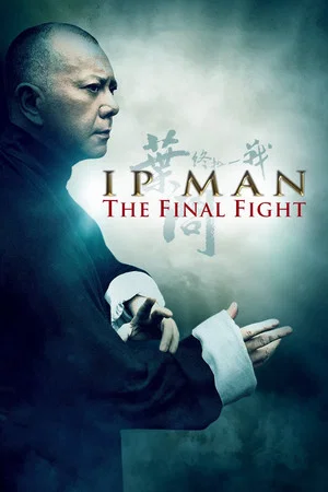 Ip Man The Final Fight - Vj Junior